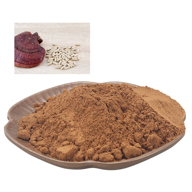 Longevity Support Formula with Forest Mushrooms